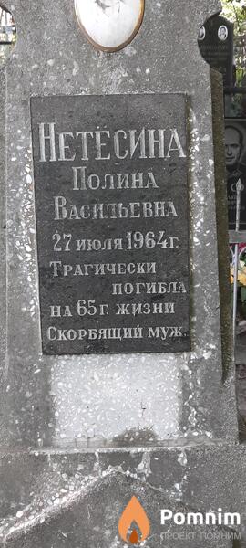 Нетесина Полина Васильевна