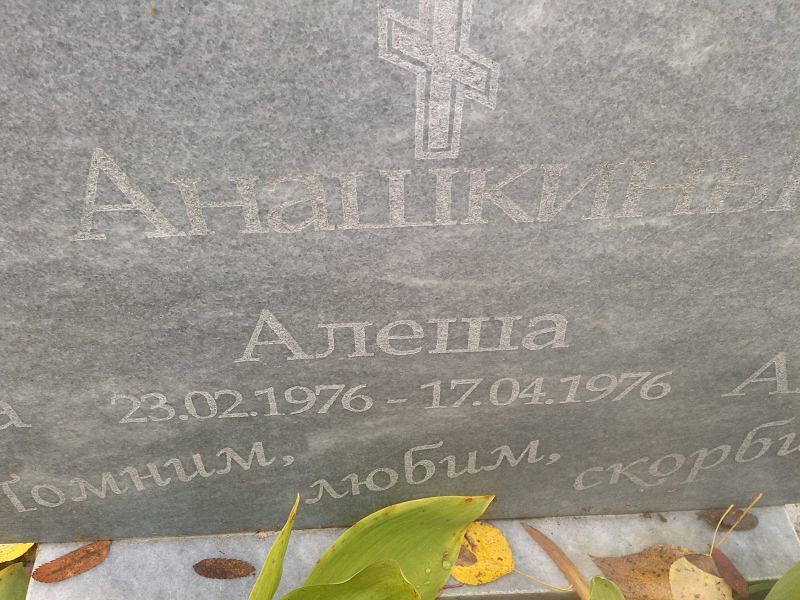 Алеша Анашкин
