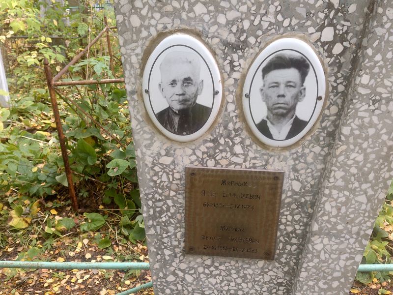 Жирных