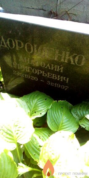 Дорошенко Анатолий Григорьевич