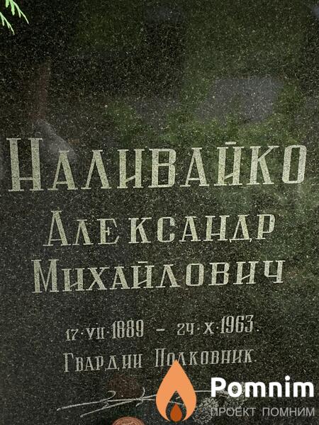Наливайко Александр Михайлович