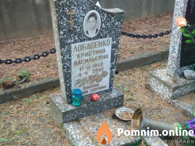 Лобасенко Владимир Максимович
