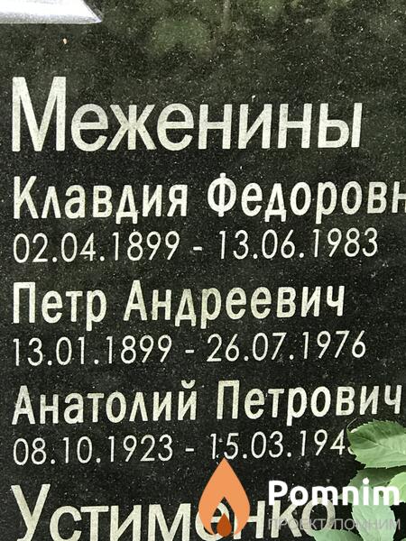 Меженин Анатолий Петрович