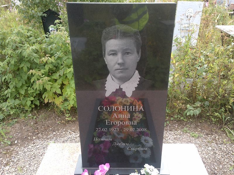 Солонина