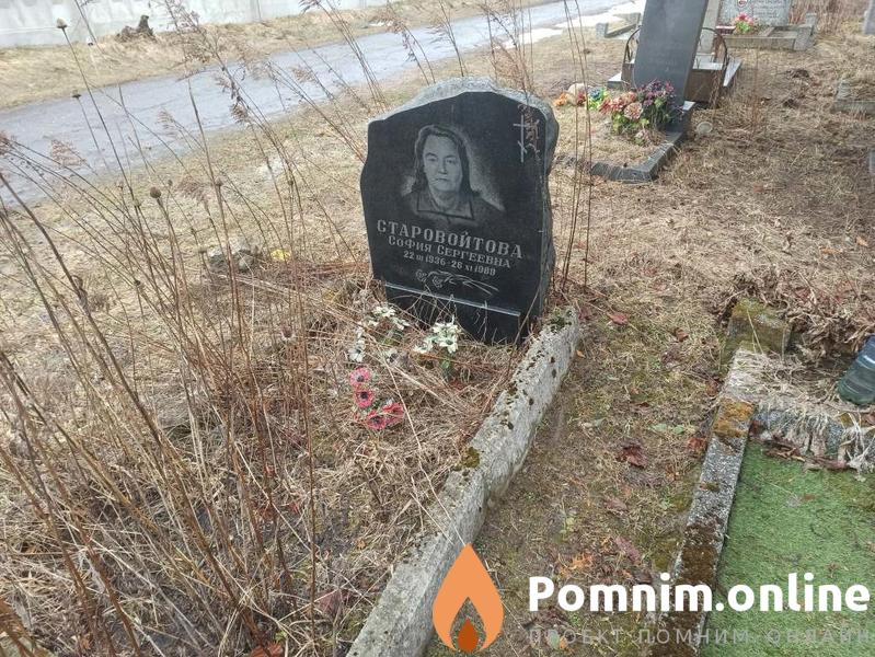 Старовойтова София Сергеевна
