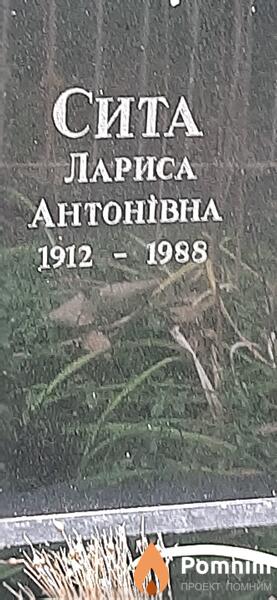 Сита Лариса Антоновна