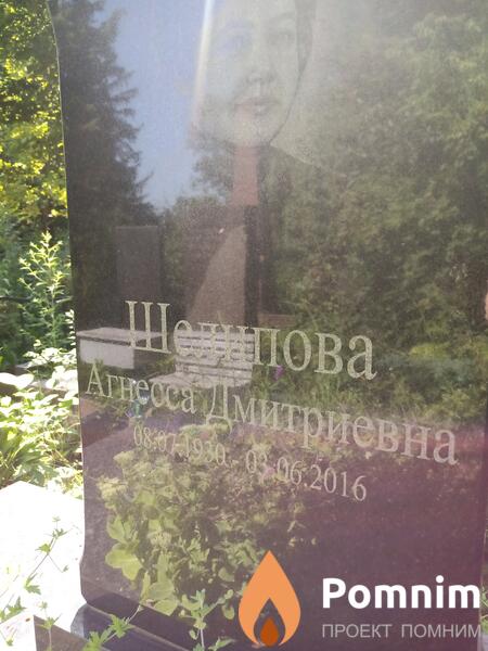 Шелипова Агнесса Дмитриевна