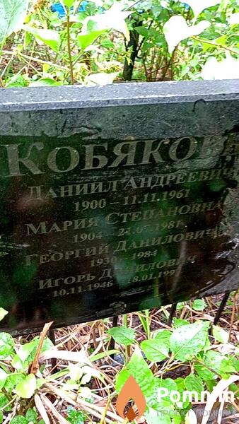 Кобяков Георгий Данилович