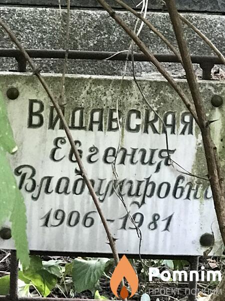 Видавская Евгения Владимировна