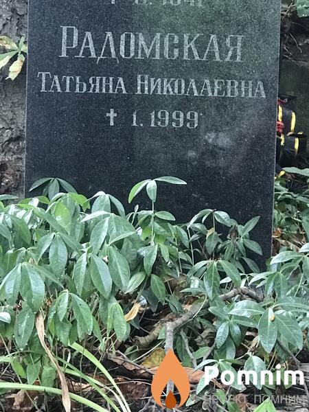 Радомская Татьяна Николаевна