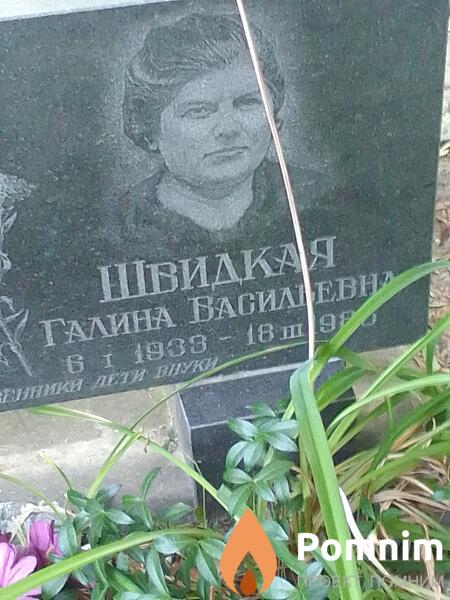 Швидкая Галина Василевне