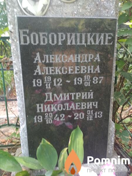 Боборицкий Дмитрий Николаевич