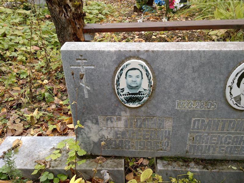 Дмитриенко