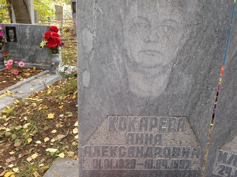 Кокарева