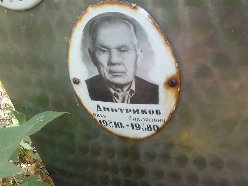 Дмитриков