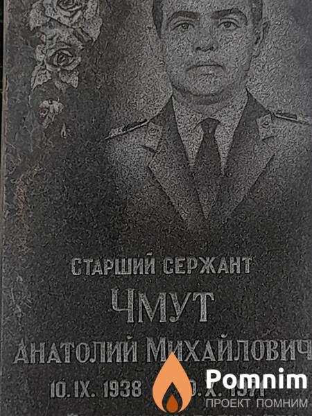 Чмут Анатолий Михайлович