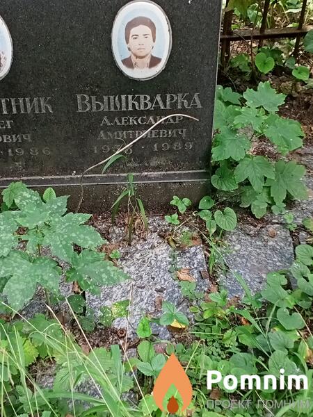 Вышкварка Александр Дмитриевич