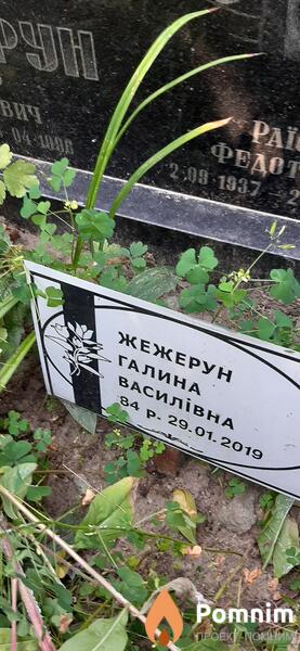 Жежерун Галина Васильевна