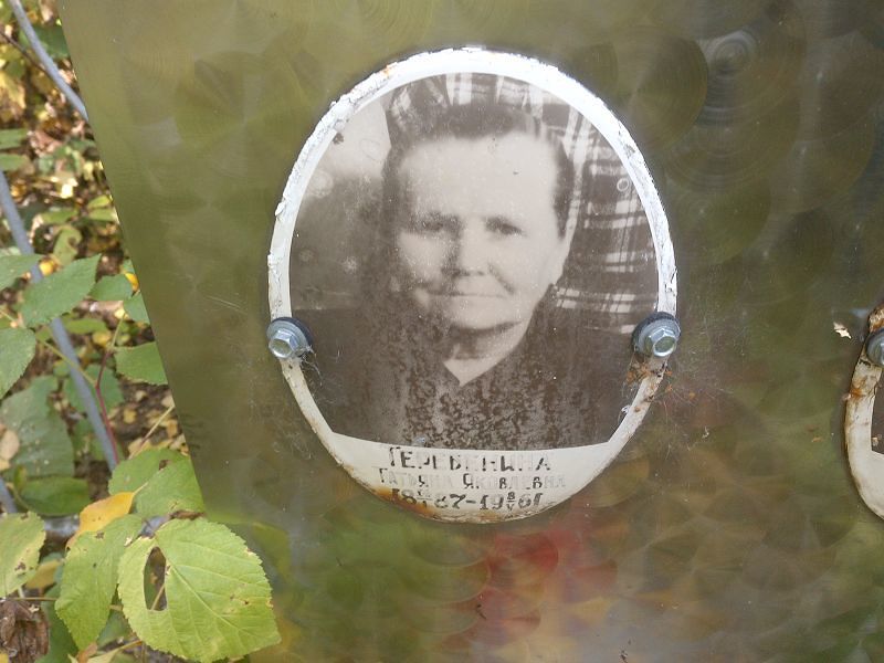 Теребенина
