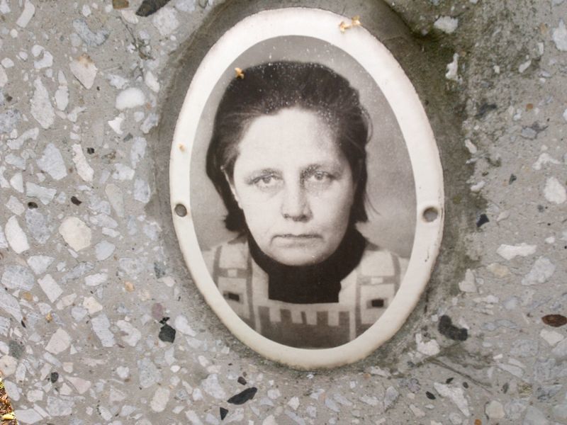 Лугинина