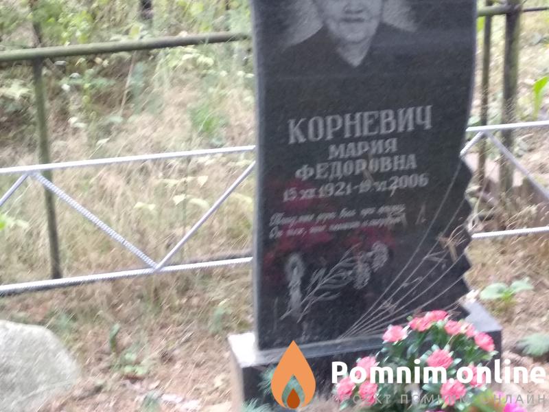 Влейчиков Игорь Петрович