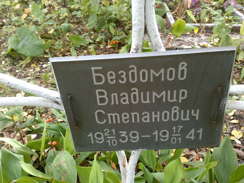 Бездомов
