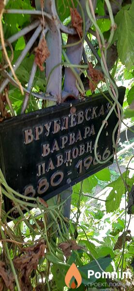 Врублевская Варвара Павловна