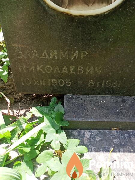 Гнедин Владимир Николаевич