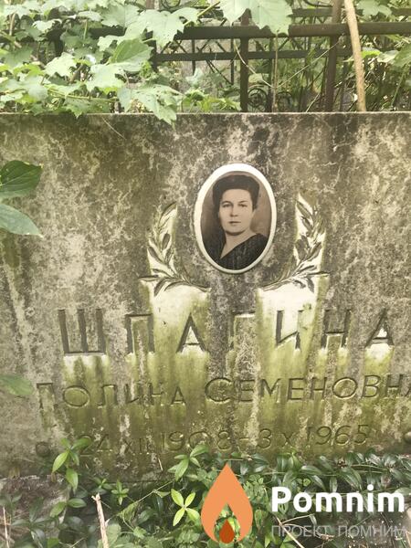 Шпагина Полина Семенове