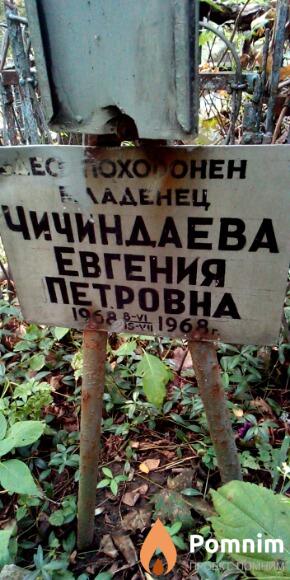 Чичиндаева Евгения Петровна