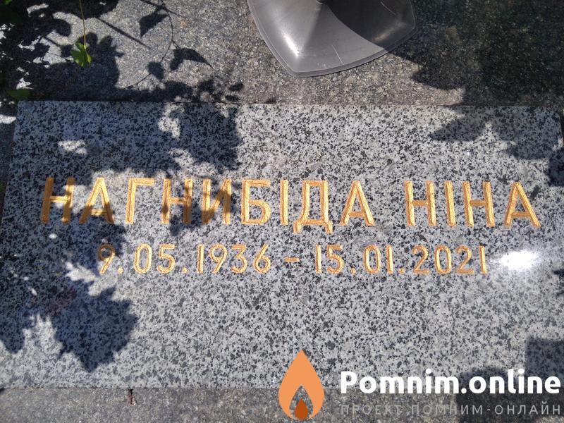 Нагнибіда Ніна Миколаївна