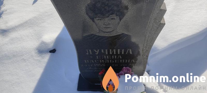 Лучина Елена Васильевна