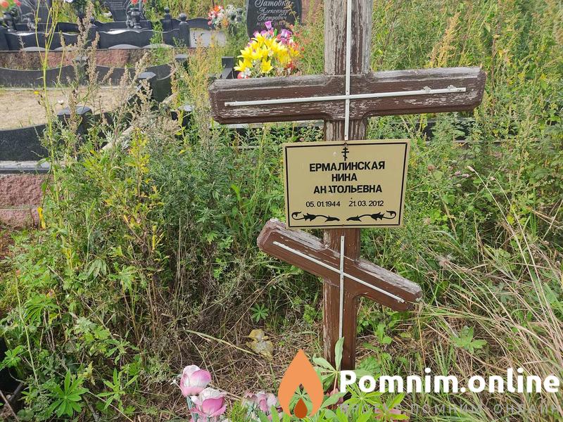 Ермалинская Нина Анатольевна