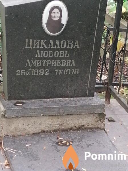 Цикалова Любовь Дмитриевна