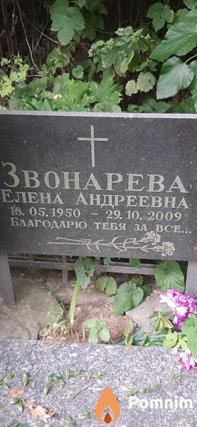 Звонарева Елена Андреевна