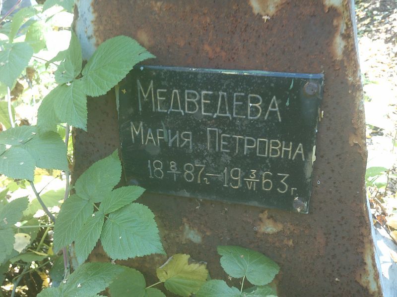Медведева