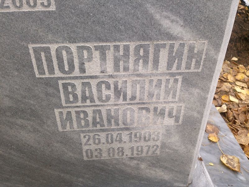 Портнягин