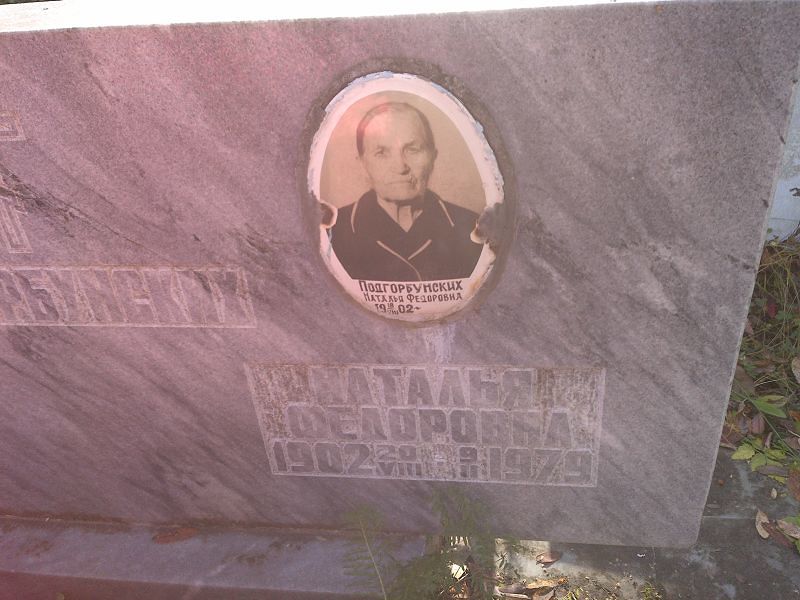 Подгорбунских
