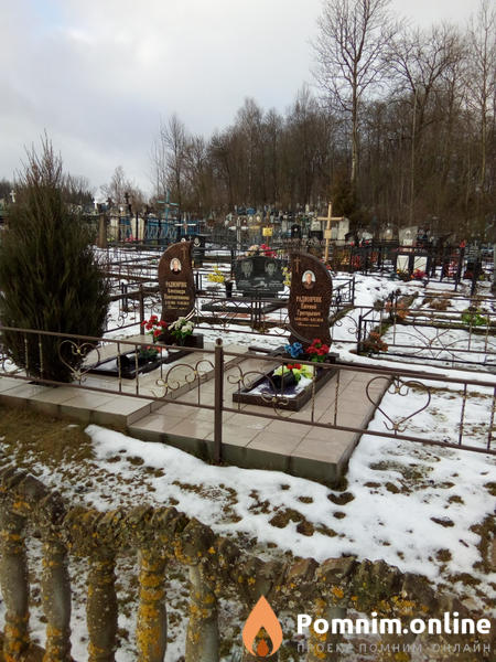 Радиончик Александра Константиновна
