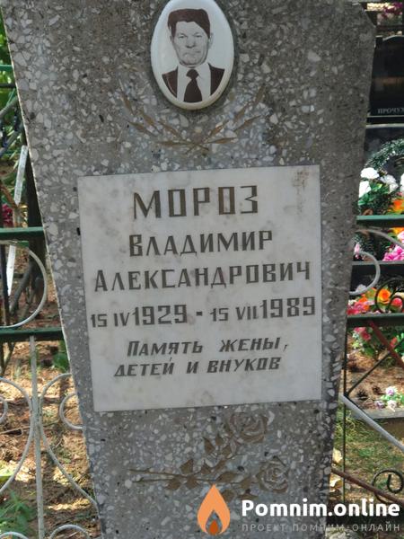 Плаксенок Алла Владимировна
