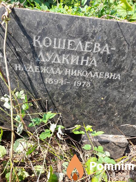 Кошелевадудкина Надежда Николаевна