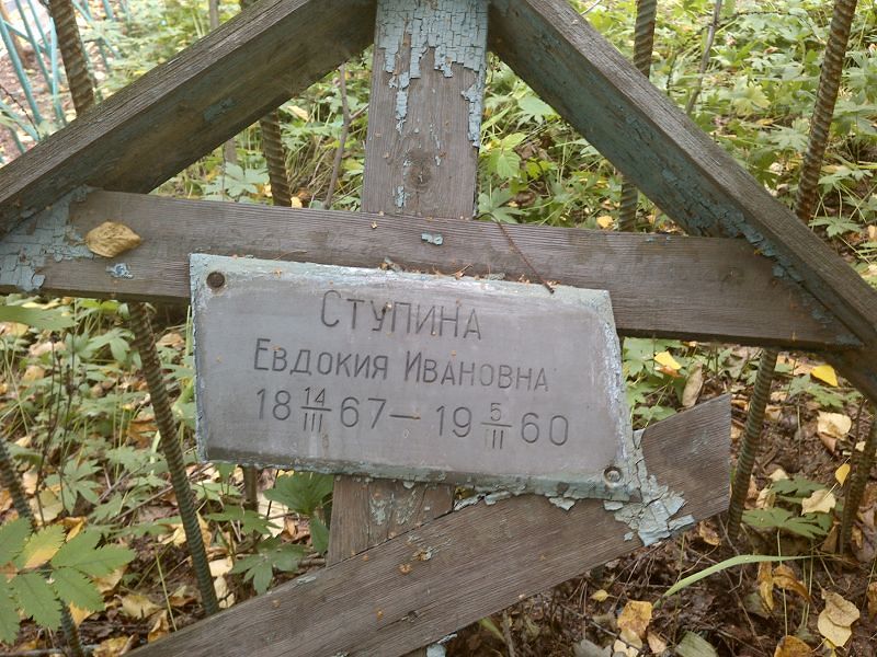 Ступина