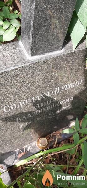 Соломахацушко Анна Владимировна