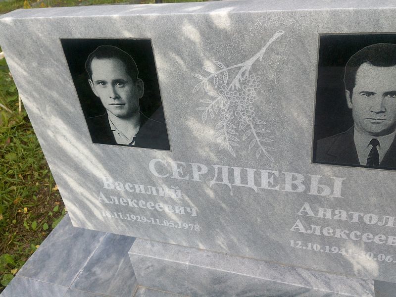 Сердцев