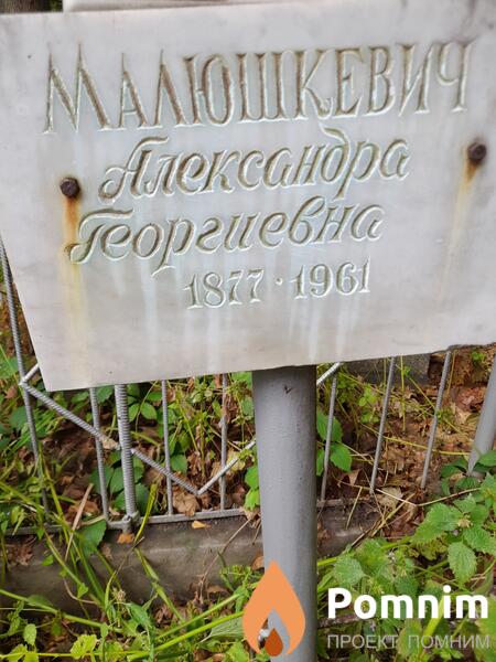 Малюшкевич Александра Георгиевна