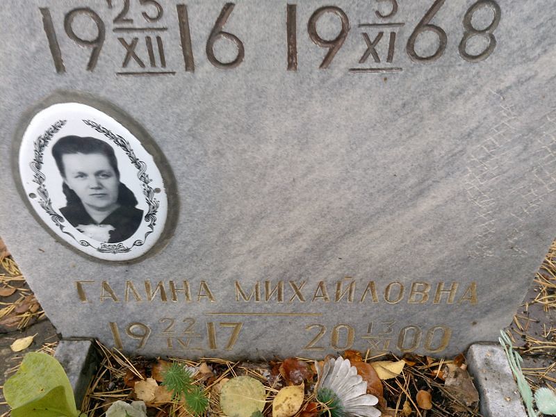 Пинженина