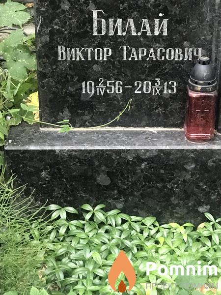 Билай Виктор Тарасович