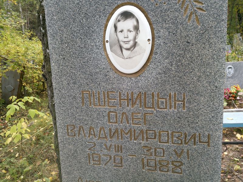 Пшеницын