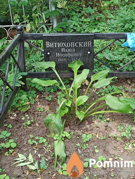 Витюховский Павел Иосифович