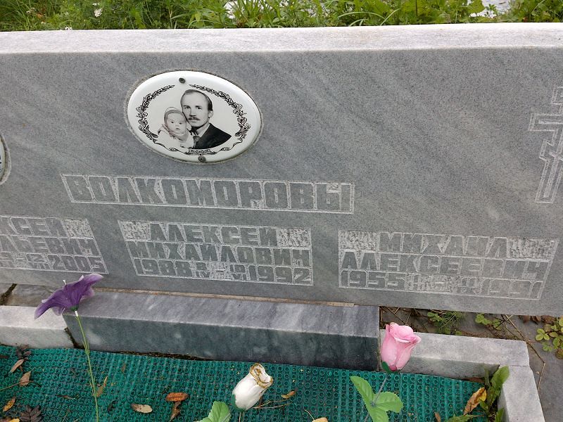 Волкоморов